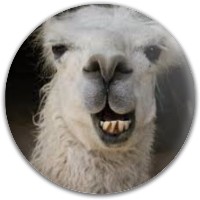 Llama
