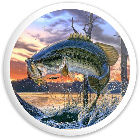 Design 323405 Disc Golf and Ultimate Discs