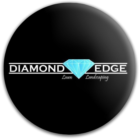 Design 323956 Disc Golf and Ultimate Discs