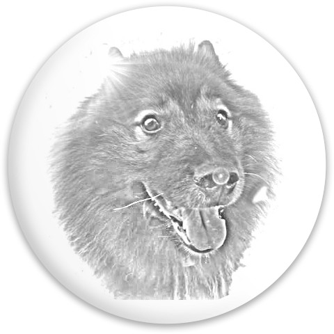 Design 324557 Disc Golf and Ultimate Discs