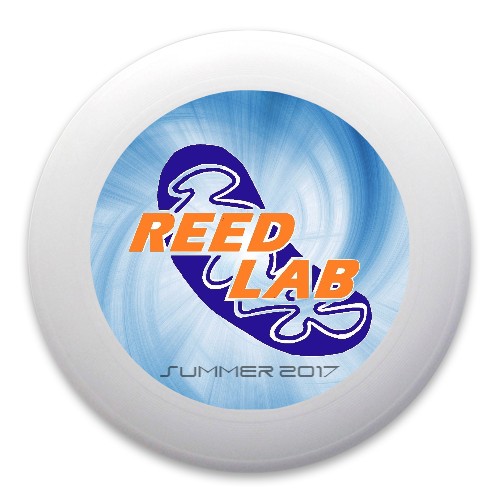 Design 324601 Disc Golf and Ultimate Discs