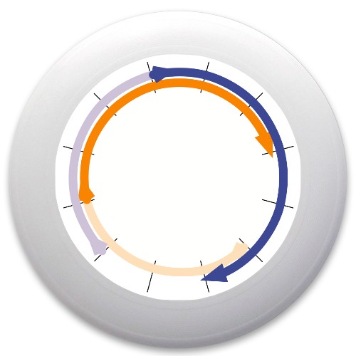 Design 325095 Disc Golf and Ultimate Discs
