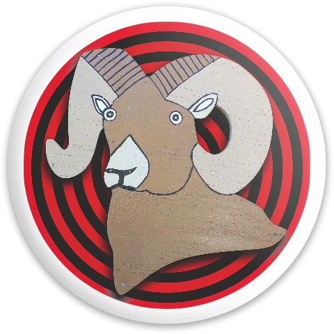 Design 329924 Disc Golf and Ultimate Discs