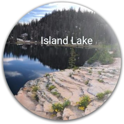 Design 330424 Disc Golf and Ultimate Discs