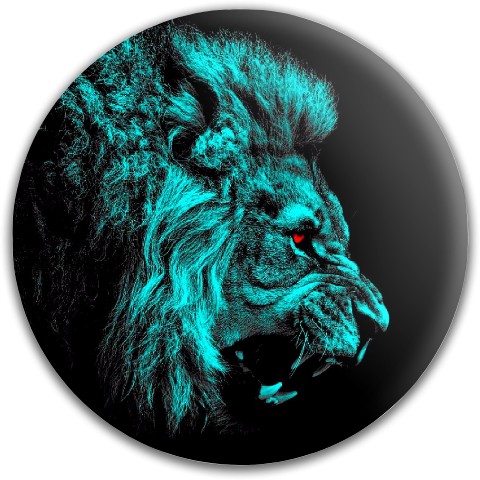 Design 330806 Disc Golf and Ultimate Discs