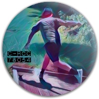 Design 331485