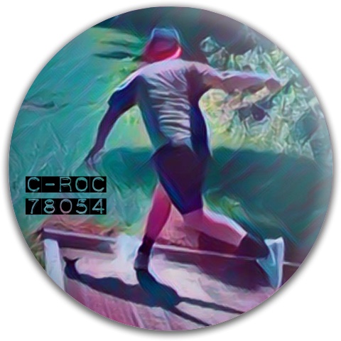 Design 331485 Disc Golf and Ultimate Discs
