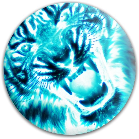 Design 337128 Disc Golf and Ultimate Discs