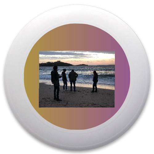 Design 337861 Disc Golf and Ultimate Discs