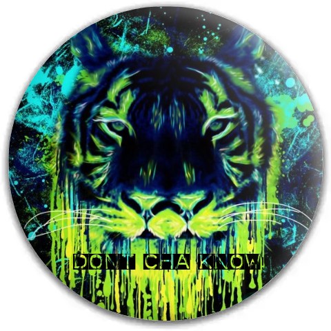 Design 337933 Disc Golf and Ultimate Discs