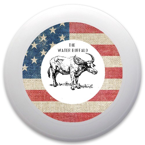 Design 339099 Disc Golf and Ultimate Discs