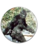 Design 33999 Disc Golf and Ultimate Discs Image