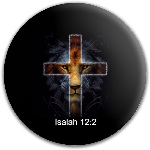 Design 340962 Disc Golf and Ultimate Discs