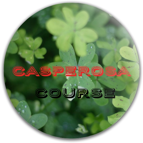 Design 344050 Disc Golf and Ultimate Discs