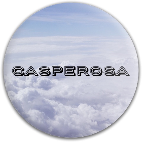 Design 344067 Disc Golf and Ultimate Discs