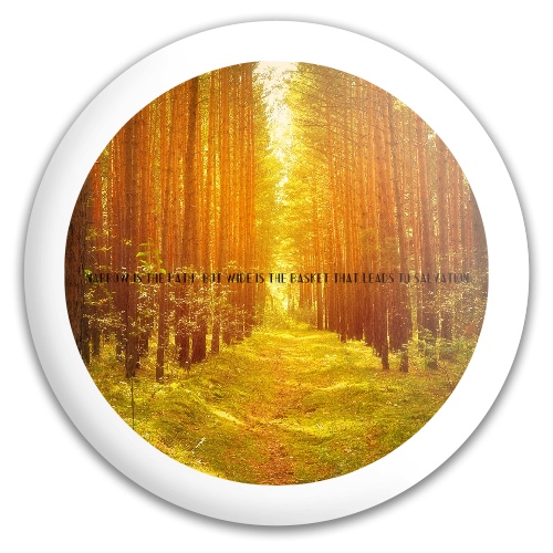 Design 345004 Disc Golf and Ultimate Discs