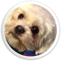 Milo