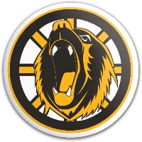 Bruin