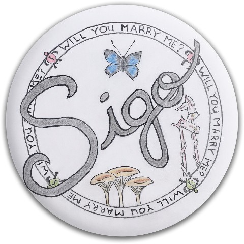 Design 349188 Disc Golf and Ultimate Discs