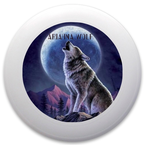 Design 354425 Disc Golf and Ultimate Discs