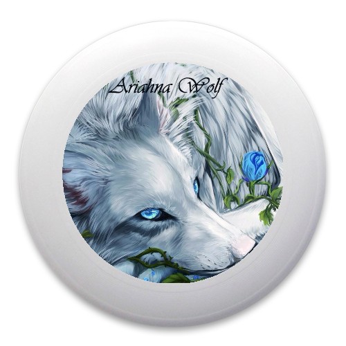 Design 355784 Disc Golf and Ultimate Discs
