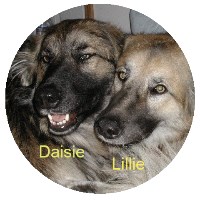 Daisie Lillie 2