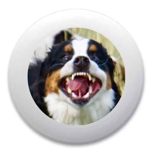 Design 358892 Disc Golf and Ultimate Discs
