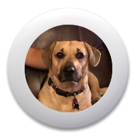 Disc Golf Buddy