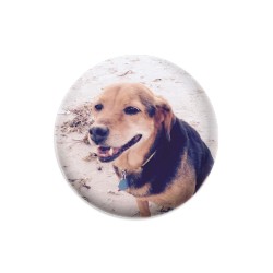 Gizzy2 Disc Golf and Ultimate Discs Image