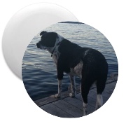 Dock meeka Disc Golf and Ultimate Discs Image
