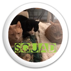 Cat Squad