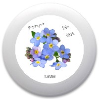 Design 365661