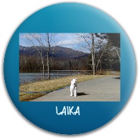 Laika