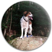 Hyoty Disc Golf and Ultimate Discs Image