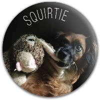 Squirt