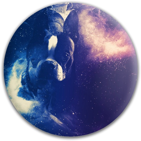 Design 378508 Disc Golf and Ultimate Discs