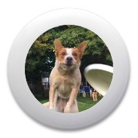 Dogo