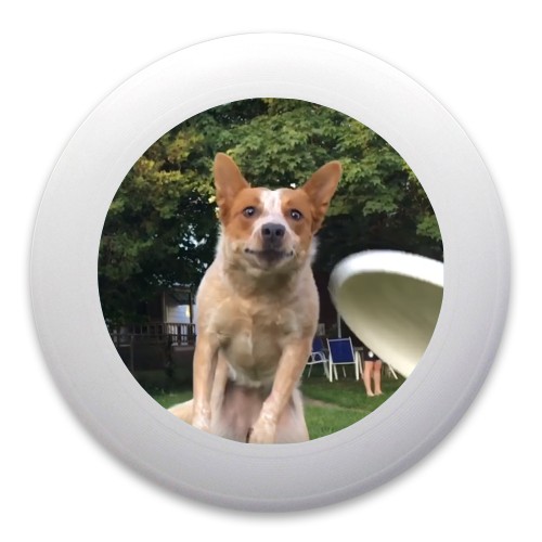 Design 379368 Disc Golf and Ultimate Discs