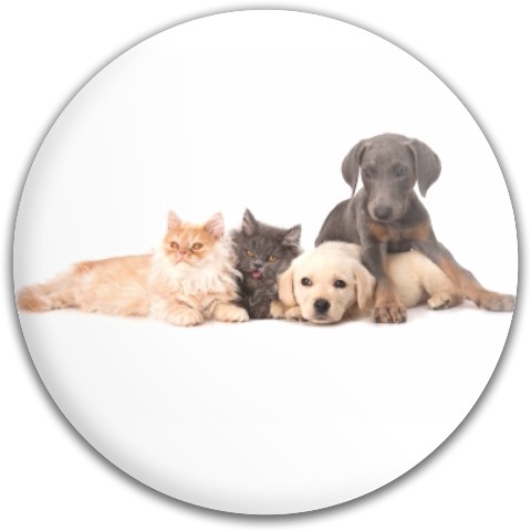 Design 380411 Disc Golf and Ultimate Discs
