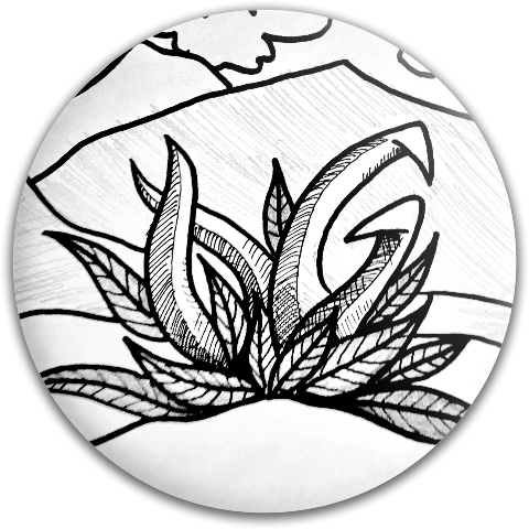 Design 380578 Disc Golf and Ultimate Discs