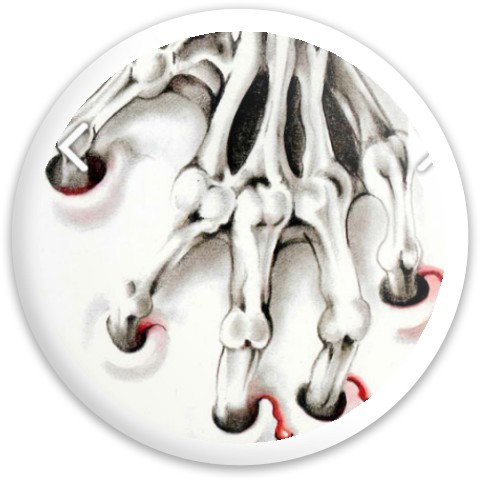 Design 381513 Disc Golf and Ultimate Discs