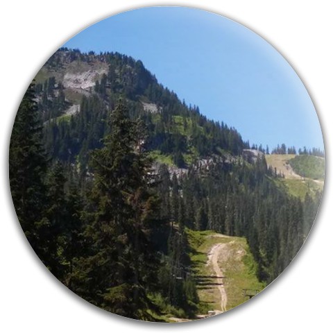 Design 387214 Disc Golf and Ultimate Discs