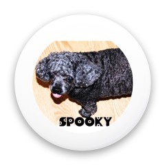 Spooky