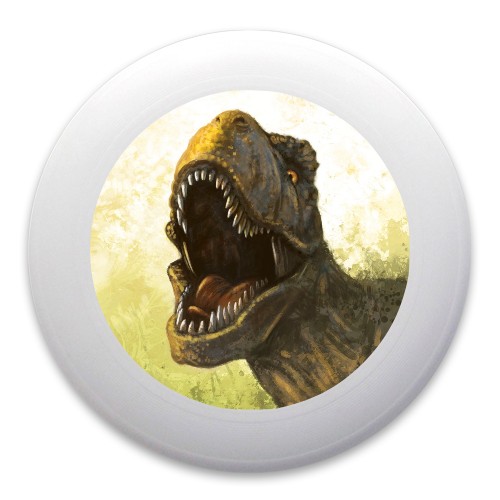 Design 390678 Disc Golf and Ultimate Discs