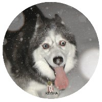 Keisha
