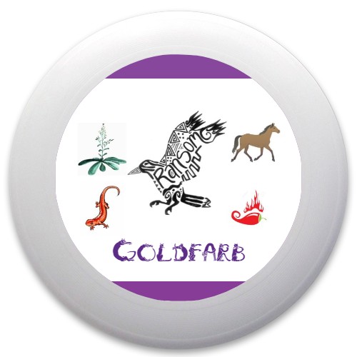 Design 392705 Disc Golf and Ultimate Discs