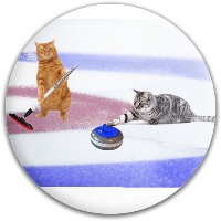 Kitty curling