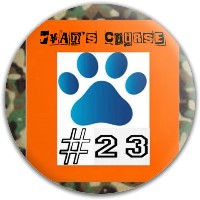 Ryan's Course