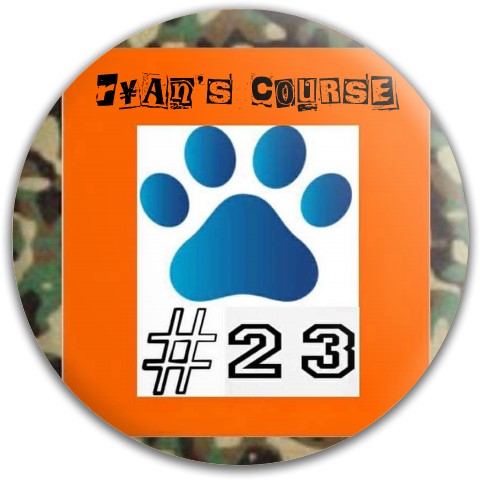 Design 397300 Disc Golf and Ultimate Discs