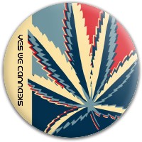 Yes we cannabis